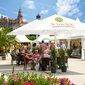 Schneider hospitality parasols of the Easymax model stand in a busy outdoor dining area. People sit underneath, enjoying protection from the sun – ideal for professional use in cafés, restaurants, beer gardens, and hotel terraces.