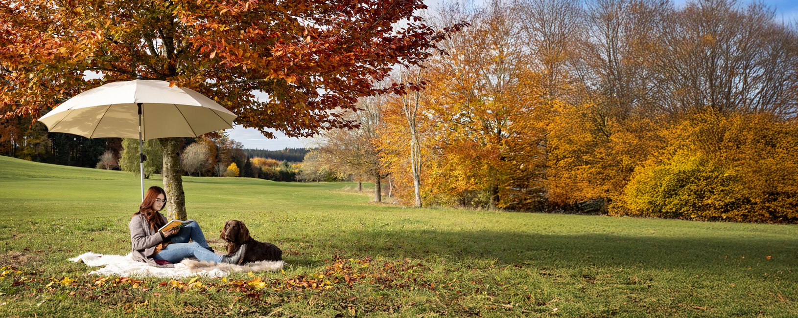 A woman sits with her dog on a blanket under the Schneider Locarno sun umbrella in Ecru, reading a book. Right next to the parasol stands a tree with autumn-colored leaves, with a meadow and forest in the background.