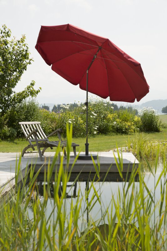 A dark red Schneider Aquila parasol, 250 cm in diameter, on a wooden deck by a natural swimming pool. A deck chair sits beneath it. Reeds are in the foreground and meadows and shrubs are in the background.